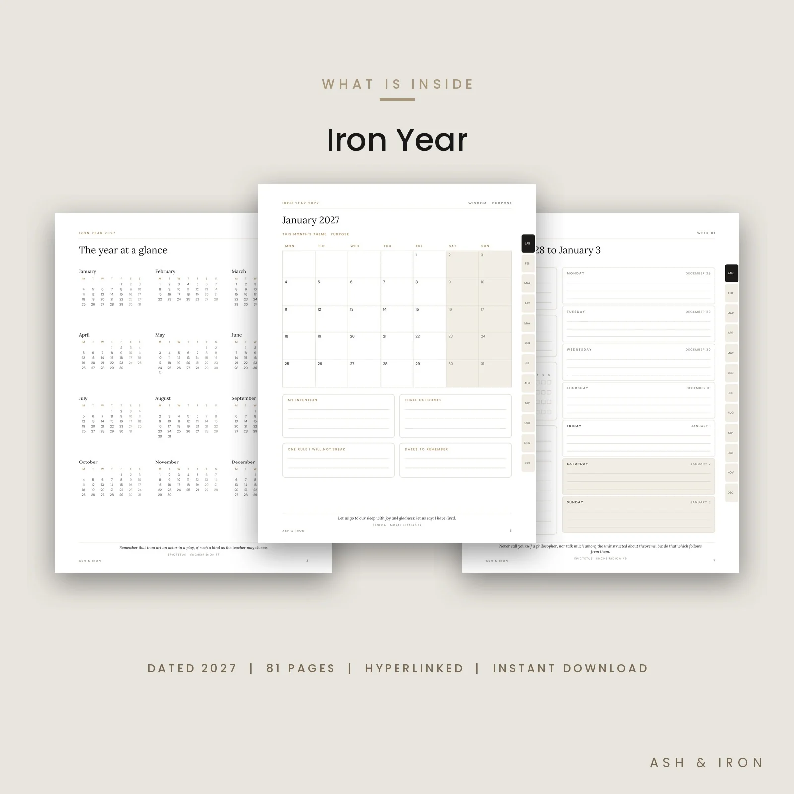 What is inside Iron Year: features and page details